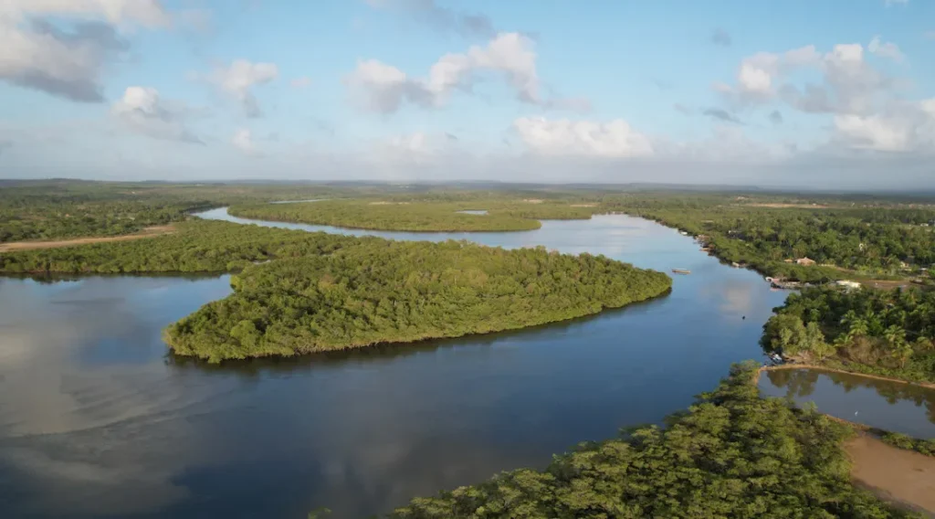 Sergipe debate voto consciente, marca presença na COP30 e vive intensa movimentação política