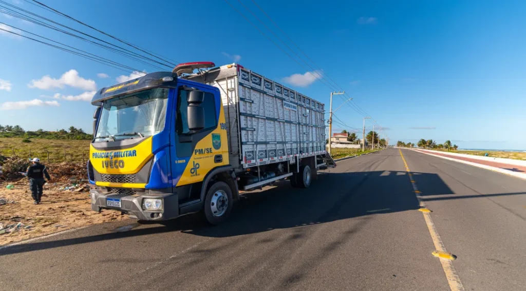 Apreensão de animais em rodovias de Sergipe soma 328 ocorrências até 10 de novembro