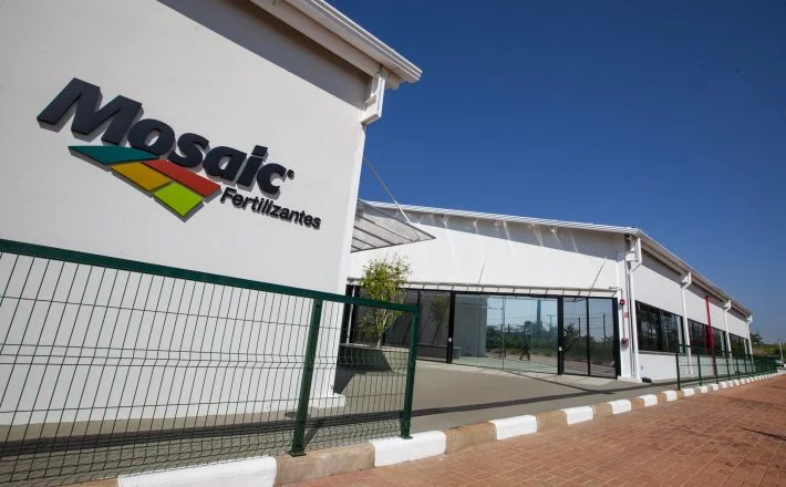Mosaic abre inscrições para estágio universitário com foco em mulheres e pessoas negras