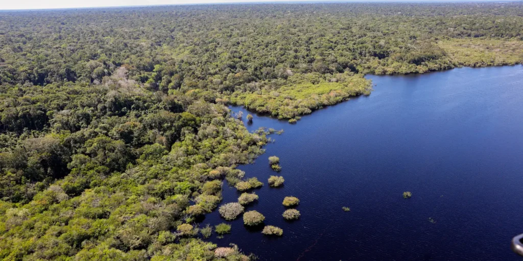 Quarto leilão do Eco Invest Brasil destinará US$ 4 bilhões a projetos na Amazônia