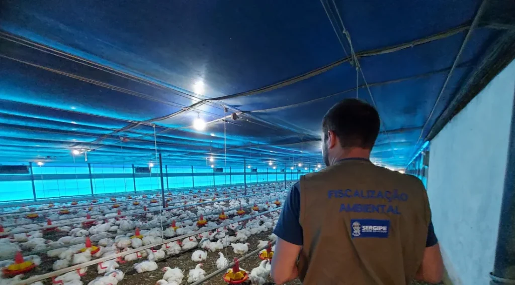 Adema levanta capacidade dos municípios para emitir licenças ambientais