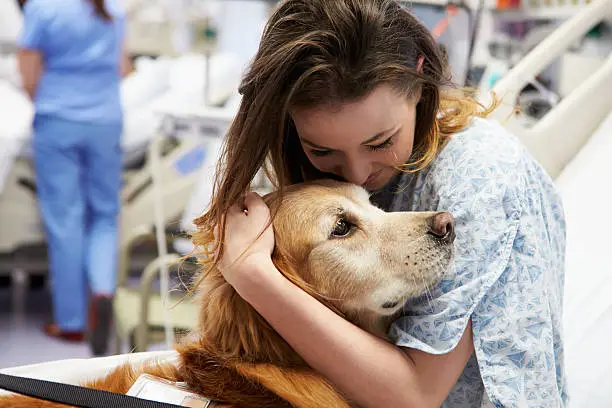 Pet-terapia se consolida como aliada em tratamentos de saúde e bem-estar