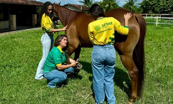 Senar Sergipe oferece 270 vagas para curso de Assistente Agropecuário no Programa Senar Jovem 2026