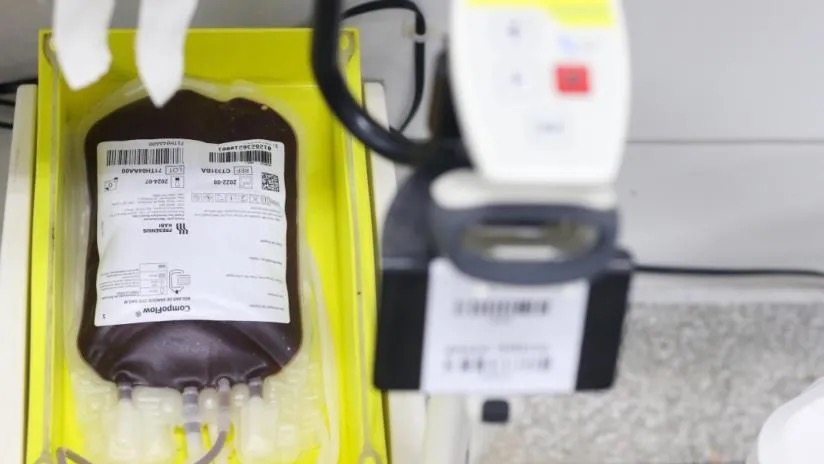 Alerta vermelho: Hemose convoca doadores de sangue O negativo diante de estoque crítico