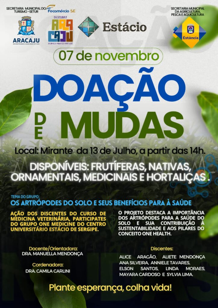 Doação de Mudas e Educação Ambiental marcam ação no Mirante da 13 de Julho