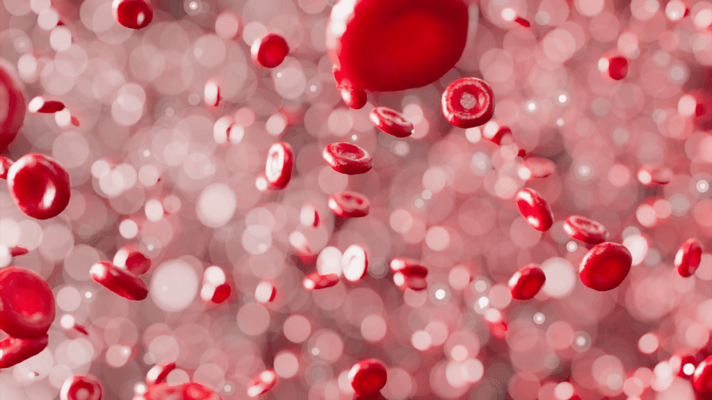 sangue hemacias 1024x576 1