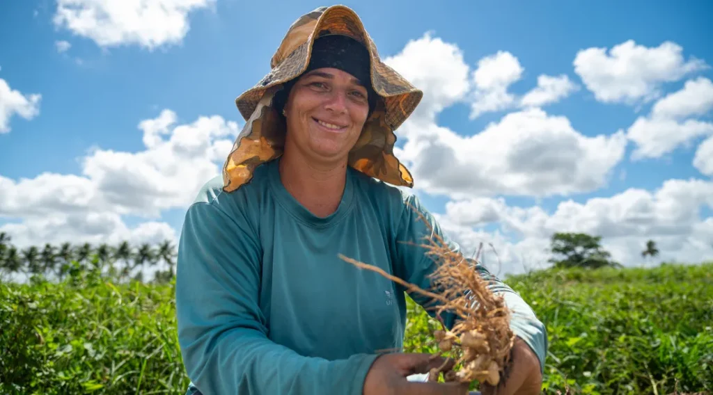 Observatório de Sergipe lança painéis interativos com dados da agropecuária de 2010 a 2024