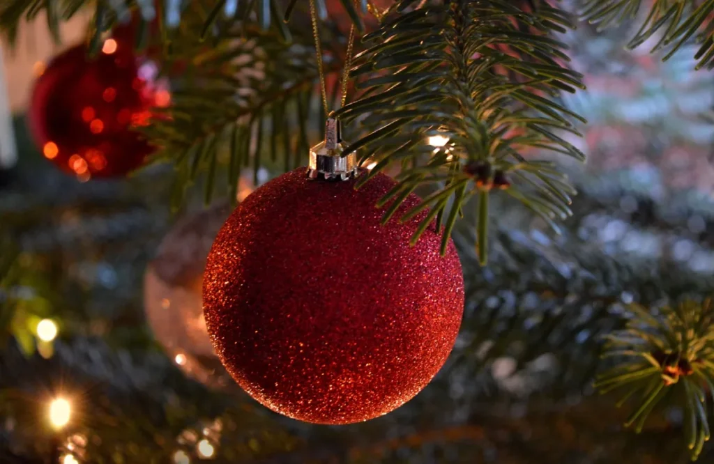 Orientações da Energisa Sergipe reduzem risco de acidentes elétricos na decoração de Natal