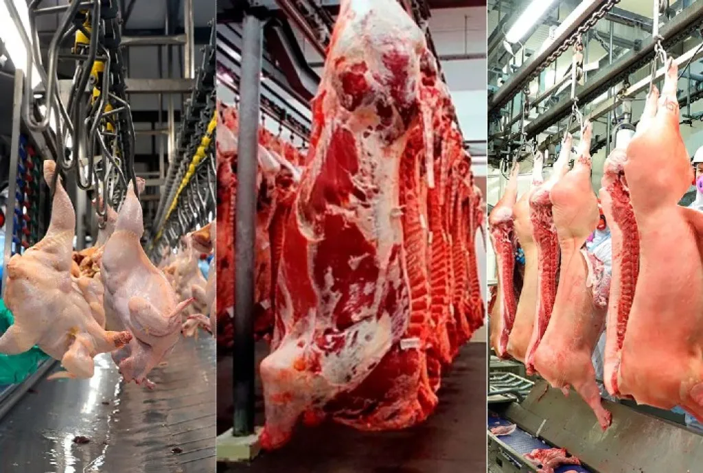 Produção pecuária de Sergipe bate recordes no 3º trimestre de 2025