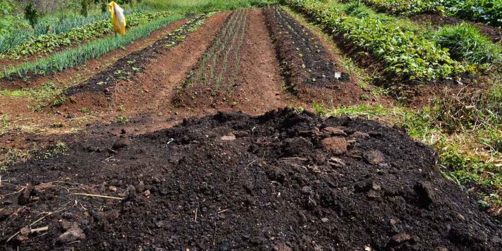 CMN amplia linhas de crédito e flexibiliza regras ambientais para produtores rurais afetados por clima extremo