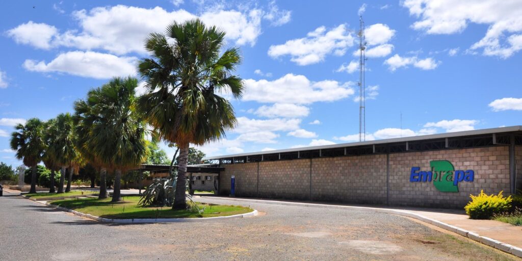 Aplicativo GuardeÁgua facilita escolha de locais para barragens subterrâneas no semiárido