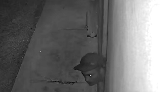 Polícia divulga foto de suspeito de assalto em Nossa Senhora do Socorro