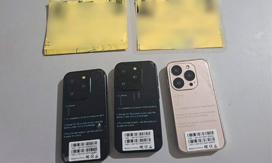 Casal de idosos é flagrado com celulares escondidos em carne no Copemcan
