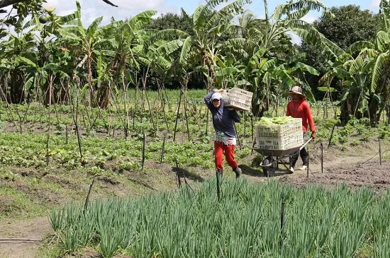 Sergipe terá R$ 2,76 bilhões do FNE para investimentos regionais em 2026