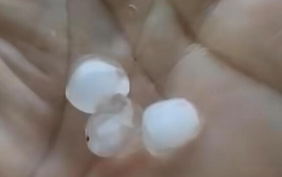 Chuva de granizo e ventos fortes causam estragos em Simão Dias