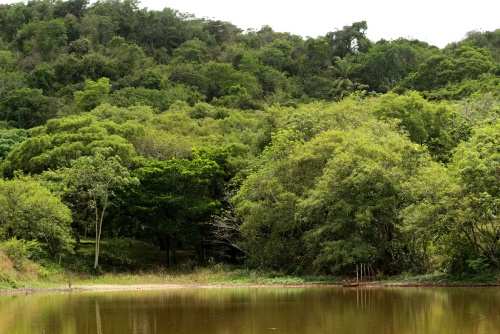 Sergipe fecha 2025 com avanços na segurança hídrica e no planejamento climático