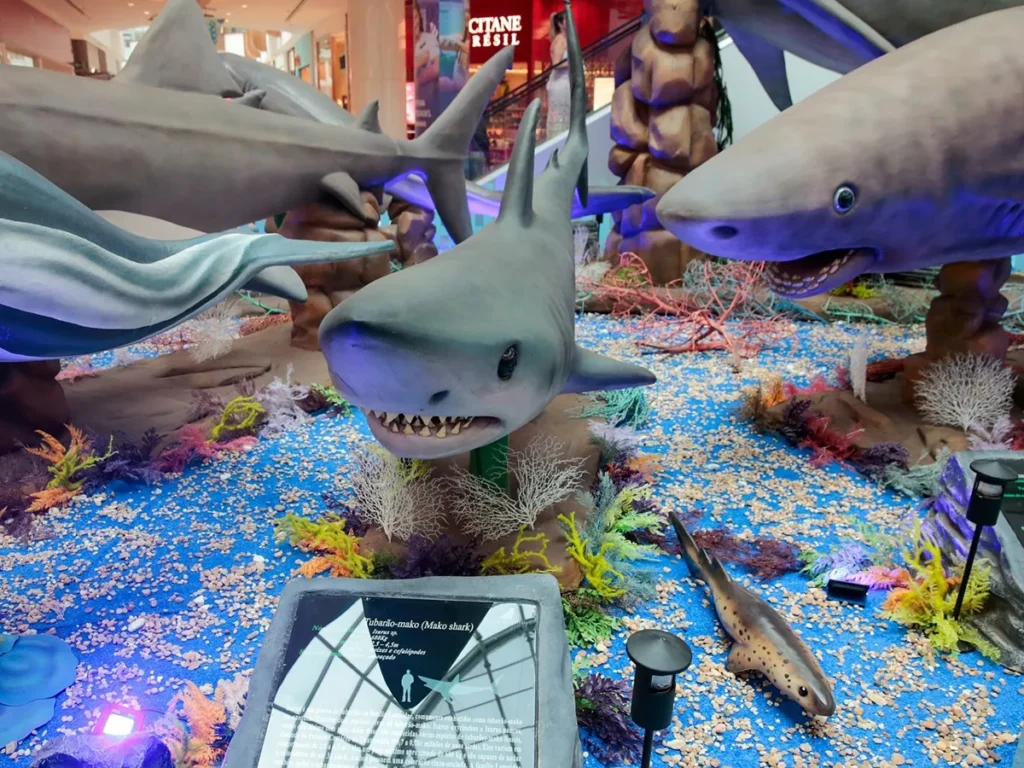 Exposição “Sharks & Cia” leva 25 tubarões em tamanho real ao Shopping Jardins a partir de 7 de janeiro