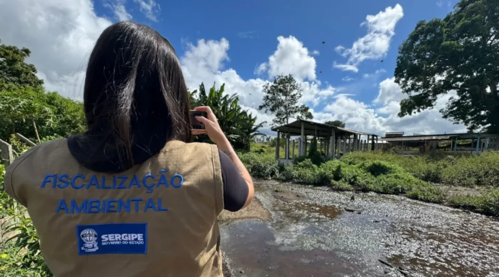 Adema fecha abatedouro de aves clandestino em Itaporanga d’Ajuda