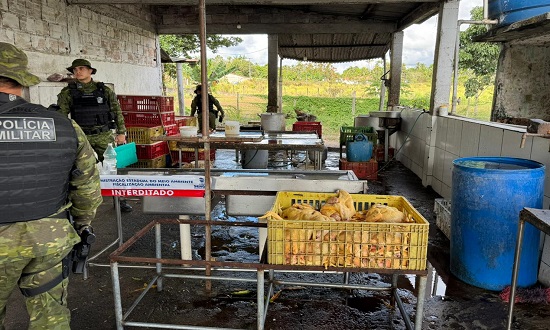 Abatedouro de aves é interditado pela Adema em Itaporanga d’Ajuda