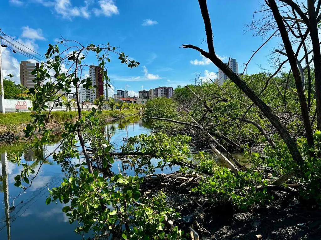 Prefeitura de Aracaju emite 473 notificações em fiscalização no entorno do Parque Tramandaí