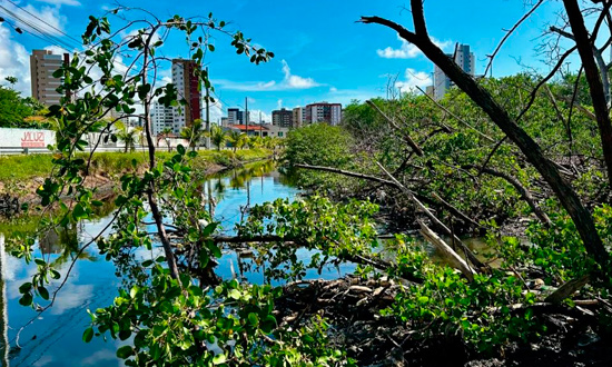 Prefeitura de Aracaju emite 473 notificações após fiscalização no Parque Ecológico Tramandaí