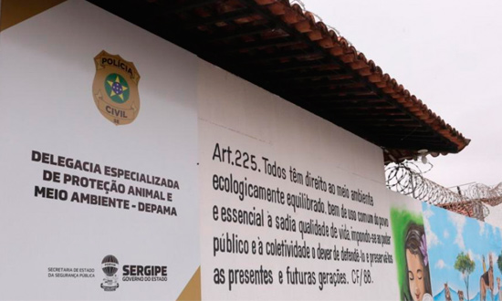 Polícia Civil identifica suspeito de arrastar cadela em via pública de Aracaju