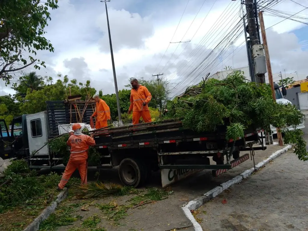 Prefeitura de Aracaju reforça poda e remoção de árvores com risco de queda na capital