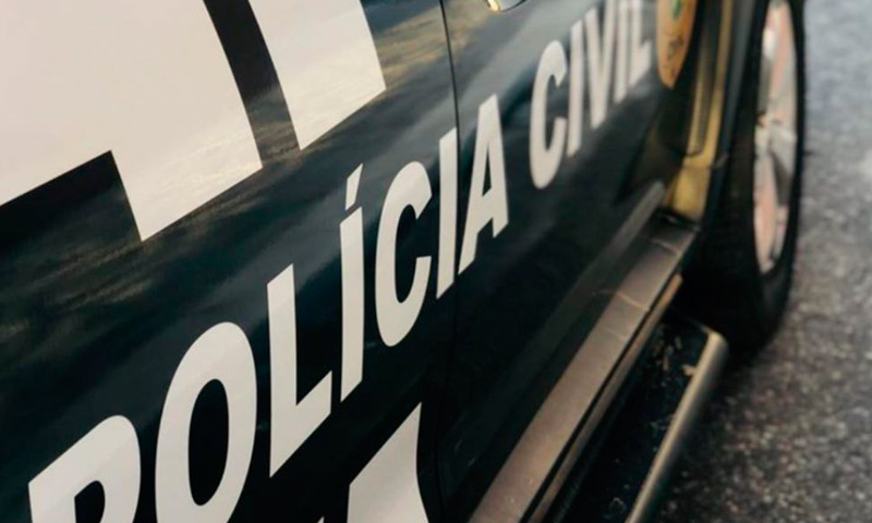 Polícia identifica dono de carro que atropelou cachorro em Lagarto