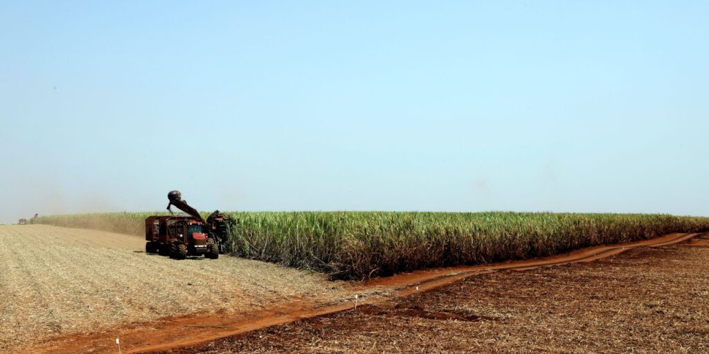 IBGE projeta safra recorde de 346,1 milhões de toneladas em 2025