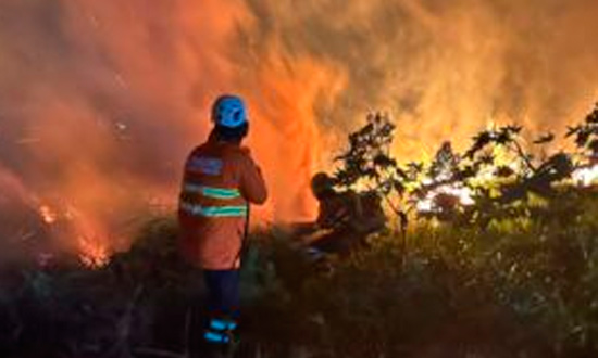 Corpo de Bombeiros de Sergipe reativa Operação Protetor dos Biomas para conter queimadas
