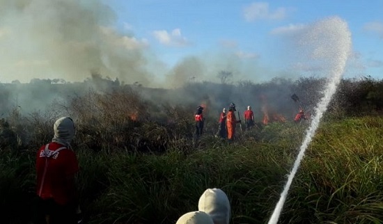 Bombeiros e GTA controlam incêndio em área de vegetação em São Cristóvão