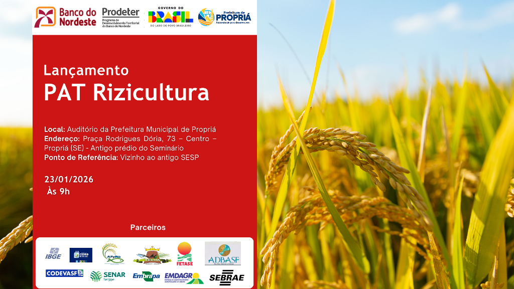 Banco do Nordeste apresenta nova fase do Prodeter para ampliar renda de rizicultores em Sergipe