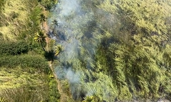 Incêndio em mata mobiliza Corpo de Bombeiros e GTA no Mosqueiro, em Aracaju