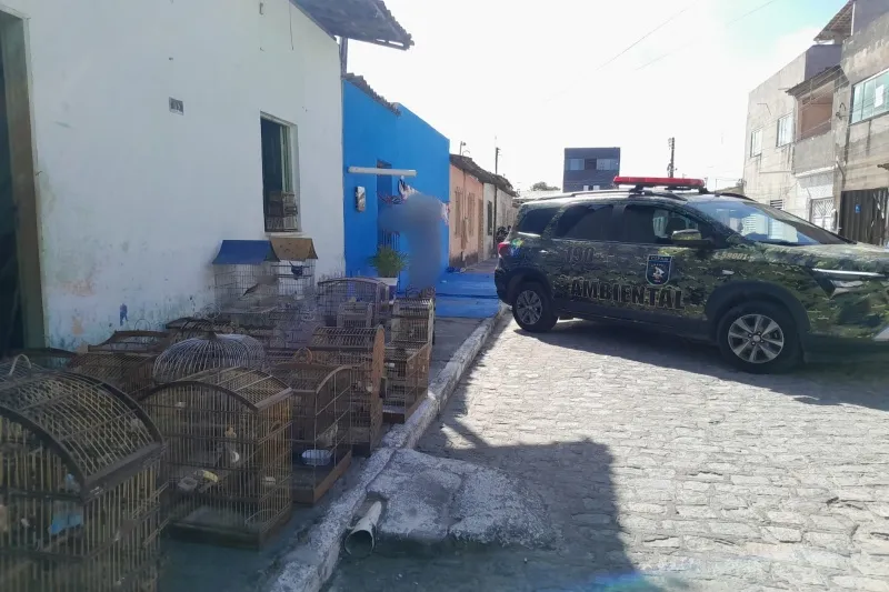 Mulher é autuada por vender 34 aves silvestres em Barra dos Coqueiros