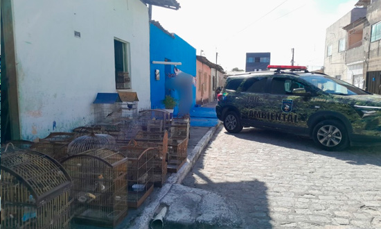 Mulher é autuada por vender 34 aves silvestres em Barra dos Coqueiros