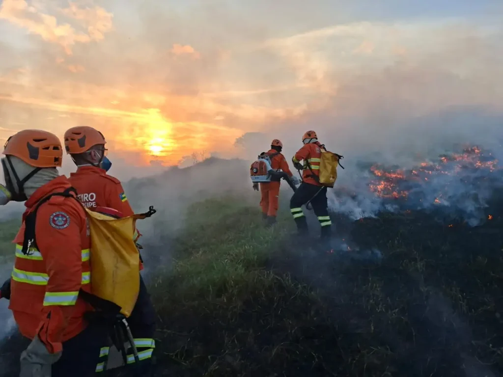 Bombeiros combatem incêndio de grandes proporções em Cristinápolis durante Operação Protetor dos Biomas