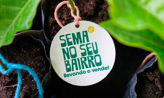 Projeto “Sema no Seu Bairro” distribui 200 mudas no Areia Branca nesta sexta-feira