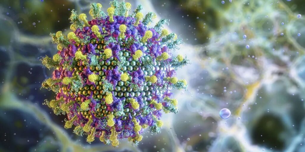 Ministério da Saúde descarta risco do vírus Nipah para o Brasil