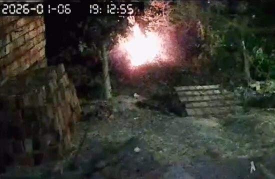 Polícia identifica suspeito de incendiar gato em Itabaianinha