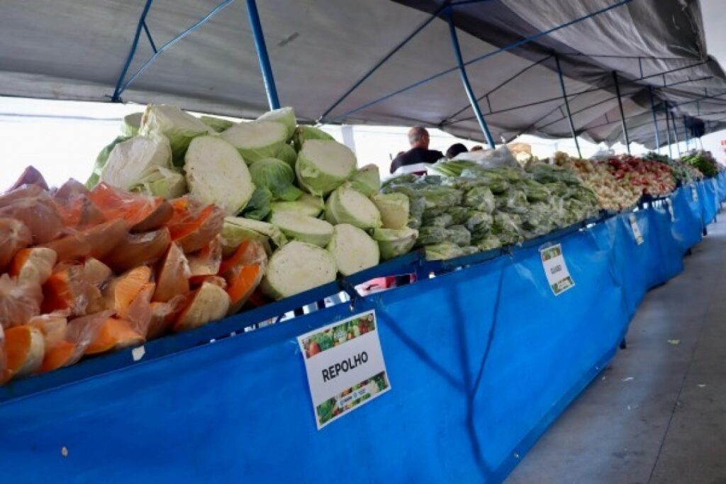 Itabaiana cria Programa Municipal de Aquisição de Alimentos para impulsionar agricultura familiar