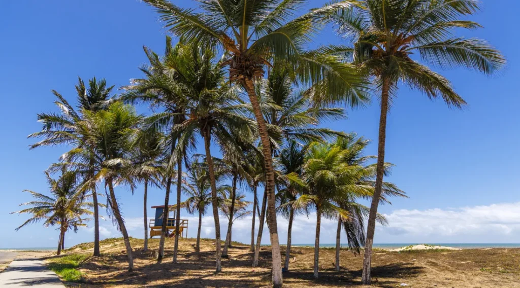 Verão Sergipe 2026 leva shows e esportes a Pirambu e reforça economia local