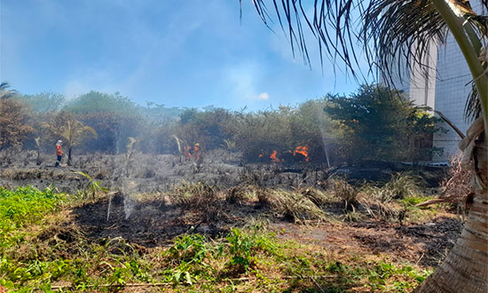 Bombeiros debelam incêndio em terreno baldio no bairro Suíssa, em Aracaju