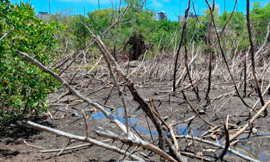 MP de Sergipe cobra execução de sentença para recuperar o Parque Ecológico do Tramandaí