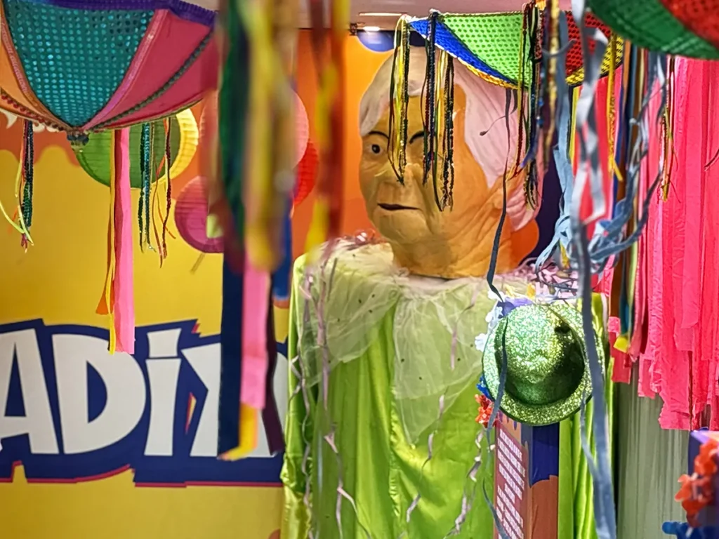 Shopping Jardins exibe mostra sobre o bloco Rasgadinho até 28 de fevereiro