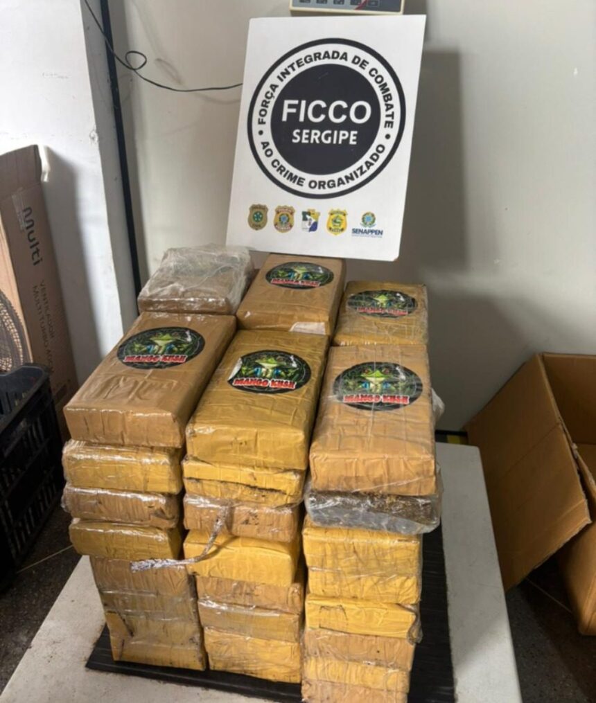Quatro pessoas são presas em Sergipe durante operação contra tráfico e lavagem de dinheiro; 50 kg de maconha são apreendidos