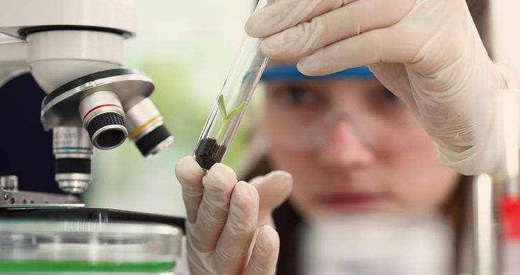 Observatório Nacional abre edital do Programa Meninas Cientistas para ensino médio