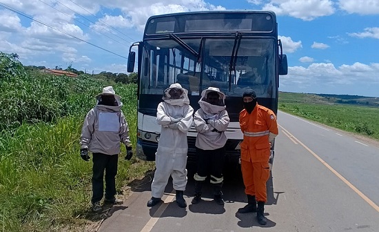 Homem morre e 27 ficam feridos após ataque de abelhas em Capela (SE)