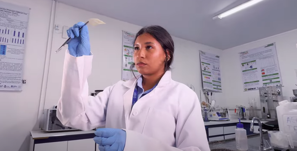 Pesquisa sobre nanocelulose extraída de bagaço de malte recebe prêmio 25 Mulheres na Ciência