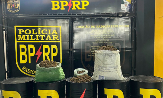 Ação conjunta entre BPRp e PRF apreende 16,5 kg de drogas e prende um suspeito em Socorro