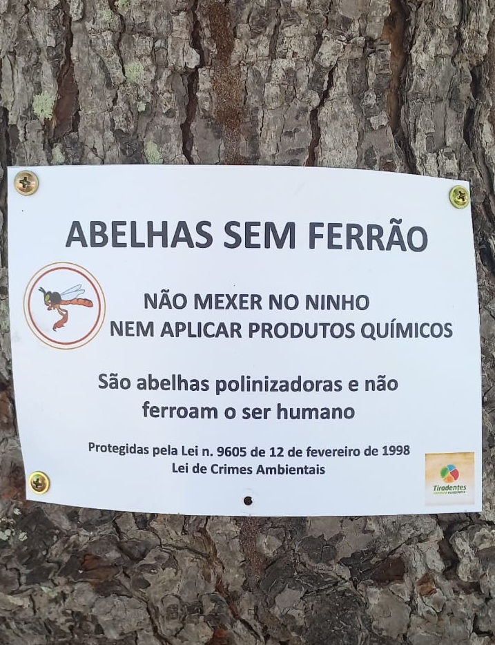 Universidade cria área verde para atrair abelhas e fortalecer biodiversidade